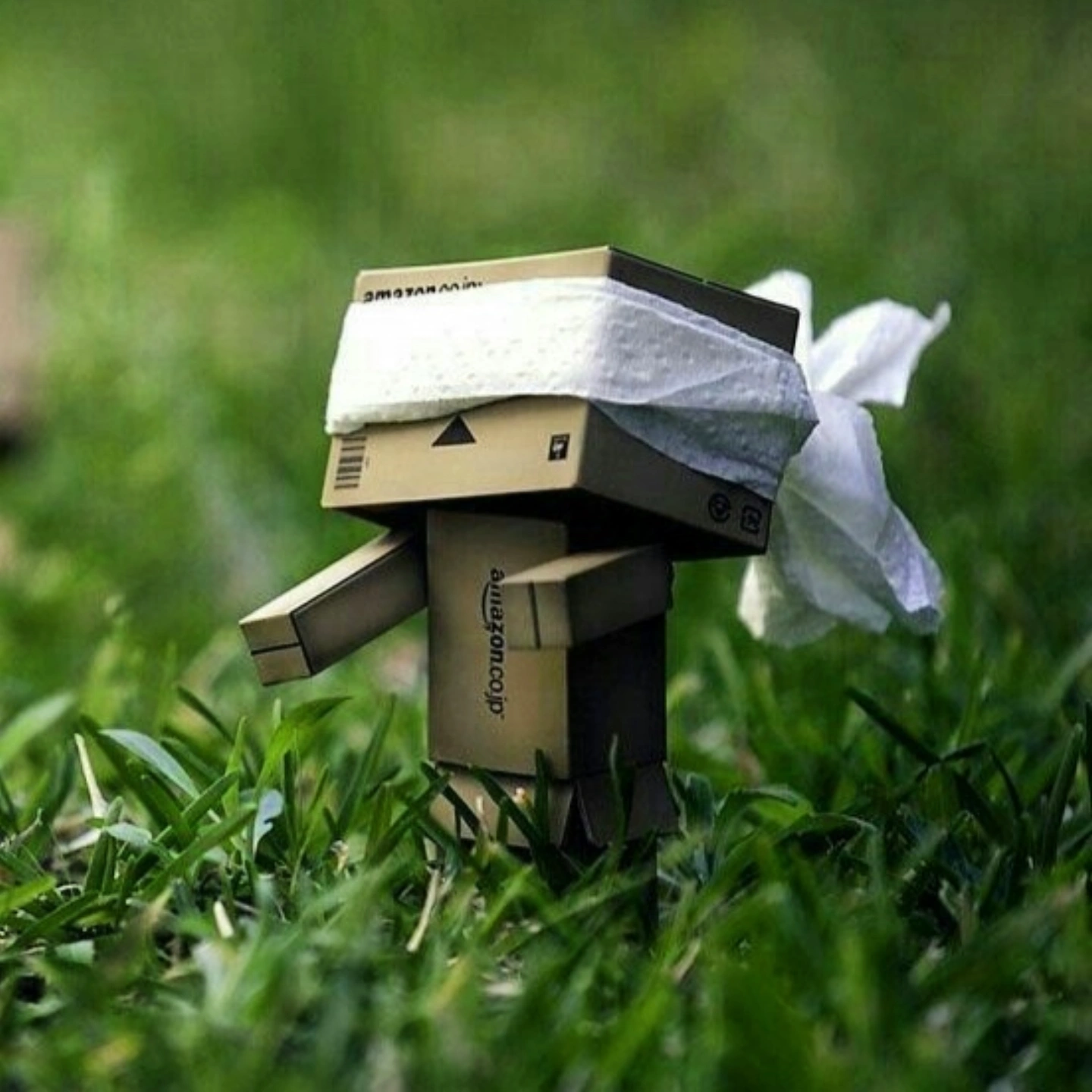 Pratham's Profile Picture